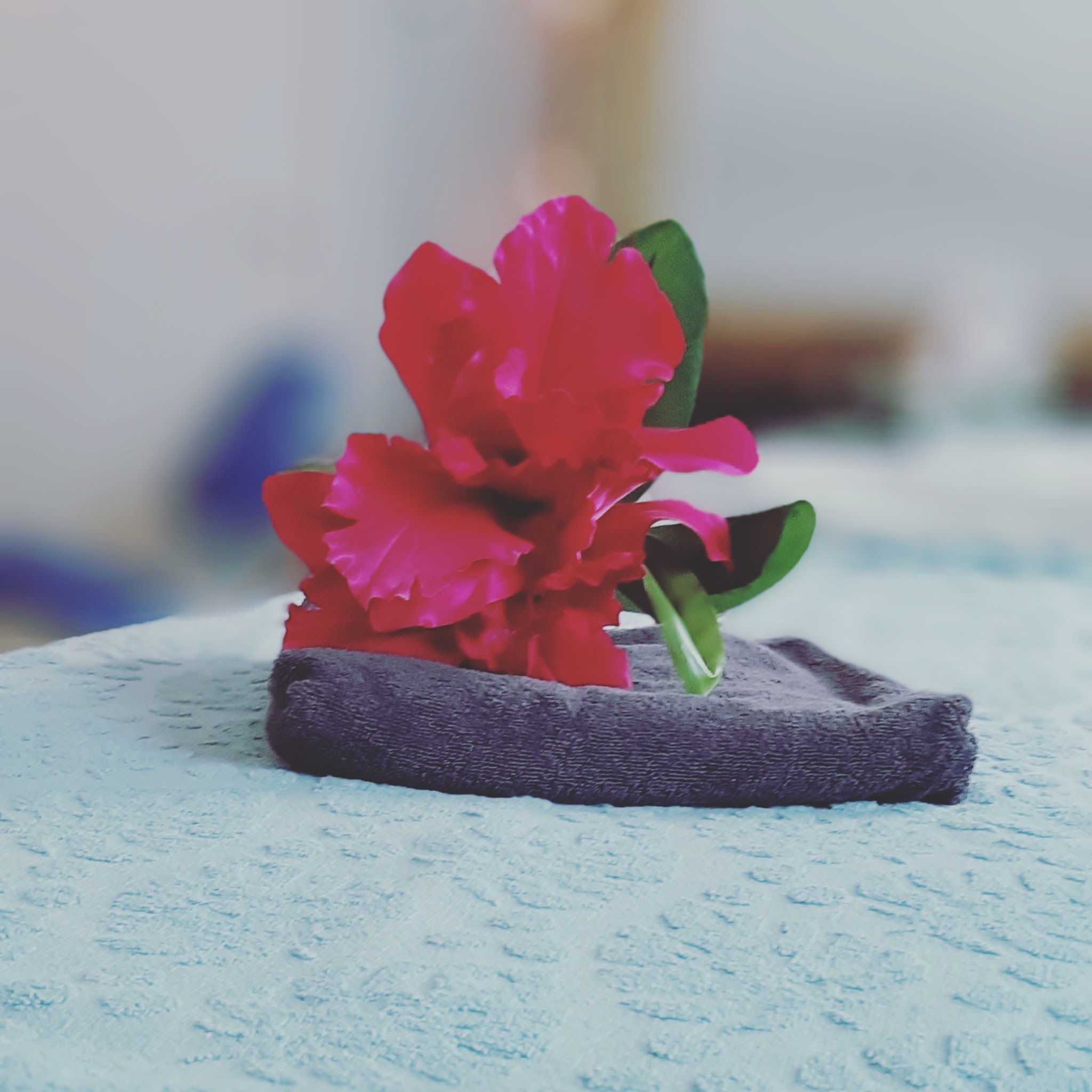 Een rode hibiscus op een opgevouwen handdoek op de behandeltafel